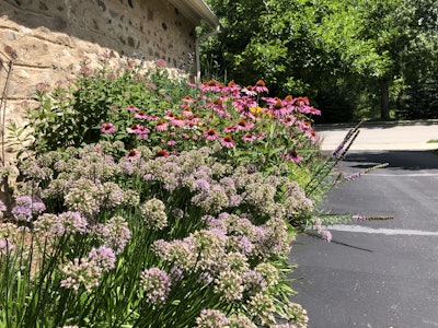 When supervising a project, Drzewiecki and Paulson will hand pick the plants and ensure the plants are laid out properly. Photo: Jill Odom/Total Landscape Care