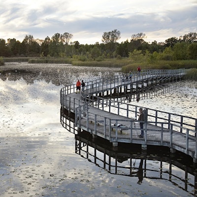 Crosswinds Marsh Wetland Interpretive Preserve Photo: ASLA