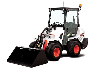 Photo: Bobcat