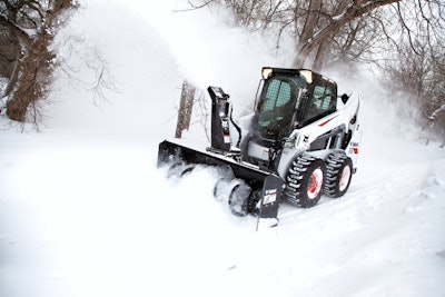 Photo: Bobcat