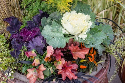 Shutterstock 163190240