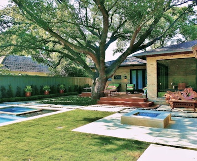 Photo: The Plant Concierge