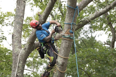 Greenworks says its new top handle chain saw is ideal for arborists. Photo: Greenworks