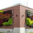 Live-wall-outdoor
