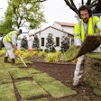 landscaping-workers-sod