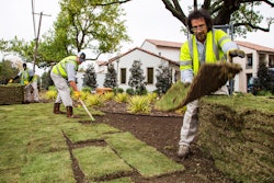 landscaping-workers-sod