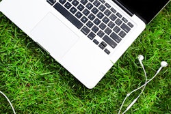 laptop-in-grass