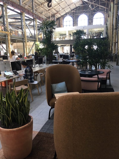 Ambius added potted plants to soften the industrial space at Gusto. Photo: Ambius