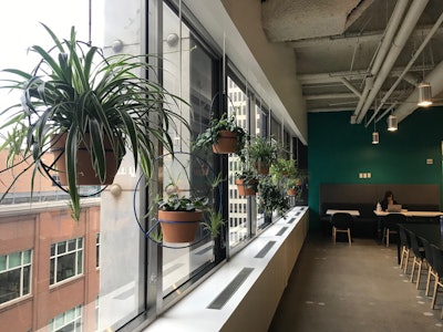 Segment.io was one of the Gold Award winners during AmericanHort’s International Plantscape Awards this year. Photo: Ambius