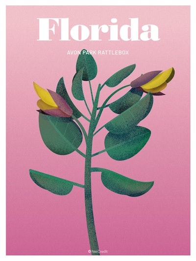 09 Endangered Plants Us Florida Avon Park Rattlebox40