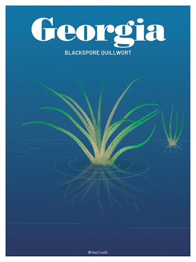 10 Endangered Plants Us Georgia Blackspore Quillwort40