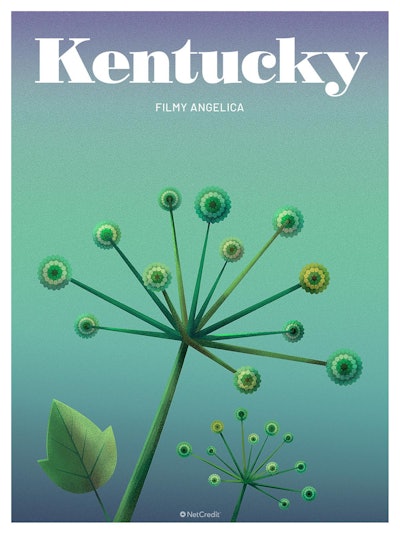 17 Endangered Plants Us Kentucky Filmy Angelica40