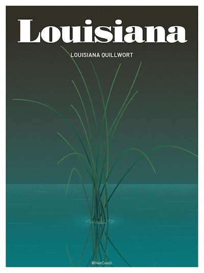 18 Endangered Plants Us Louisiana Louisiana Quillwort40