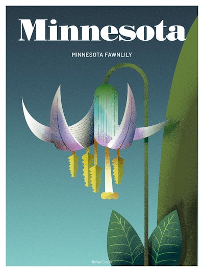 23 Endangered Plants Us Minnesota Minnesota Fawnlily40