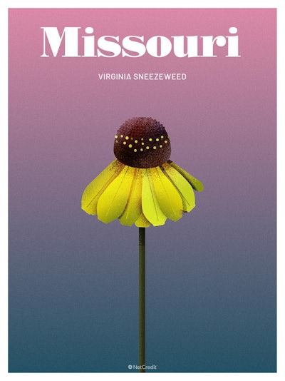 25 Endangered Plants Us Missouri Virginia Sneezeweed40