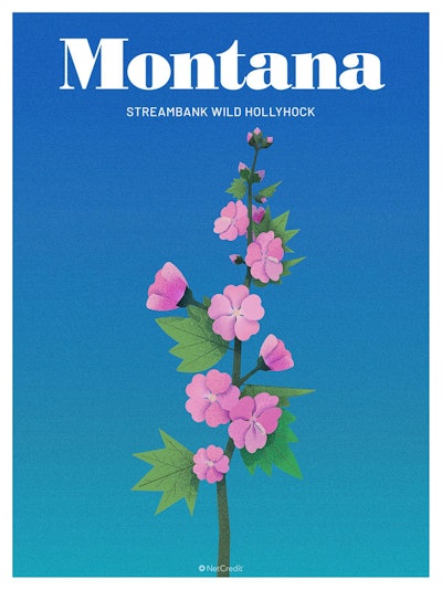 26 Endangered Plants Us Montana Streambank Wild Hollyhock40