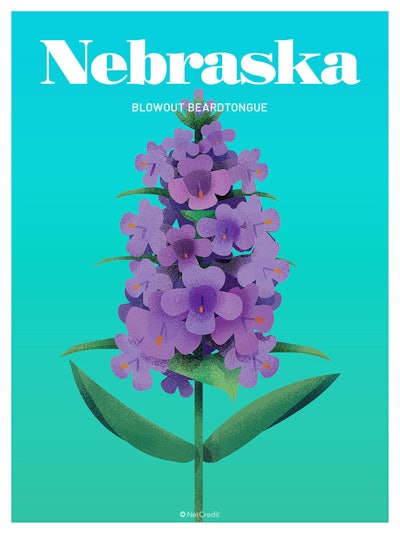 27 Endangered Plants Us Nebraska Blowout Beardtongue40