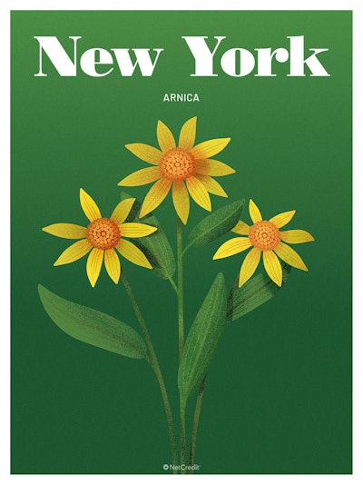 32 Endangered Plants Us New York Arnica40
