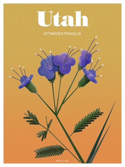 44 Endangered Plants Us Utah Phacelia40