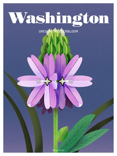 47 Endangered Plants Us Washington Oregon Checkerbloom40