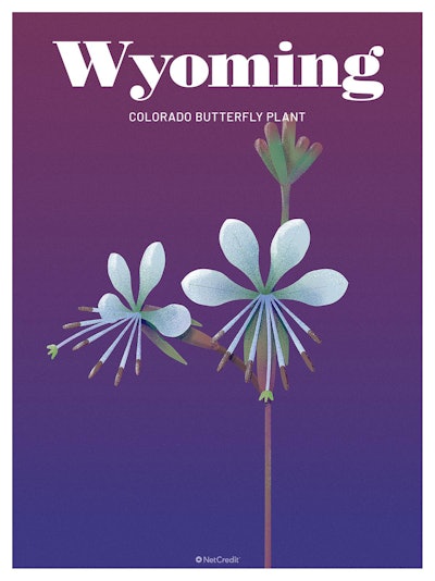 50 Endangered Plants Us Wyoming Colorado Butterfly Plant40