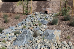 gallery-gc-lb–sharp birmingham (11)