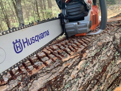 Photo: Beth Presley/Total Landscape Care