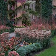 landscaping-plants-yard