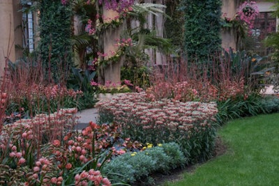 landscaping-plants-yard