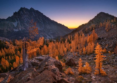 This picture won first place for the Breathing Spaces category and was taken at North Cascades National Park in Washington. Image by Thorsten Scheuermann. Go to www.igpoty.com for more information about International Garden Photographer of the Year.