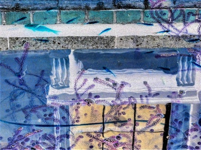 This picture won first place for the Abstract Views category and was taken at the Scarborough Art Gallery in North Yorkshire, England. Image by Maggie Lambert. Go to www.igpoty.com for more information about International Garden Photographer of the Year.