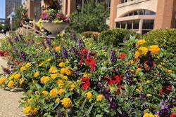 seasonal-flower-garden-city
