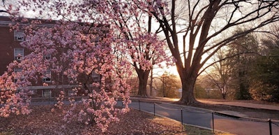 Photo: The University of Mary Washington
