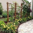 climbing-plants-trellises