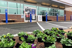 pansy-flowering-plants-emergency-room