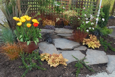 stepping stone pavers in small garden space with flowering pants and privacy trellis