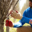 tree-pruning-shears-gloves-gemplers