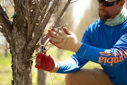 tree-pruning-shears-gloves-gemplers