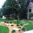 design-build-landscape-beautiful-blooms
