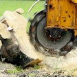 tree-stump-grinding