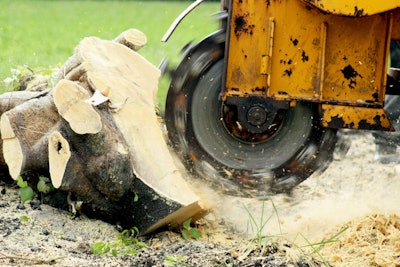tree stump grinder in action with sawdust