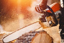 chainsaw-tree-cutting-services