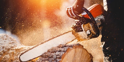 arborist using chainsaw to cut through tree trunk