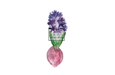 national garden bureau 2021 year of the hyacinth