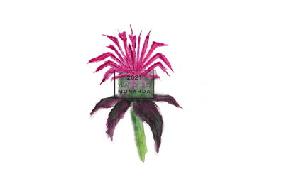 national garden bureau 2021 year of the monarda