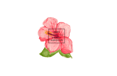 national garden bureau 2021 year of the hardy hibiscus