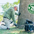 tree-age-injection-arborjet