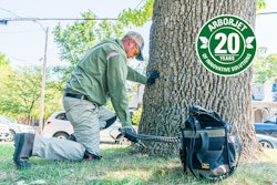 tree-age-injection-arborjet