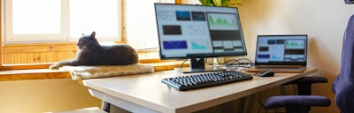 work from home desk setup with cat in window sill