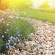 dry-creek-bed-landscaping